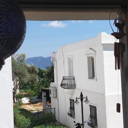 Apartment Amiral Homes